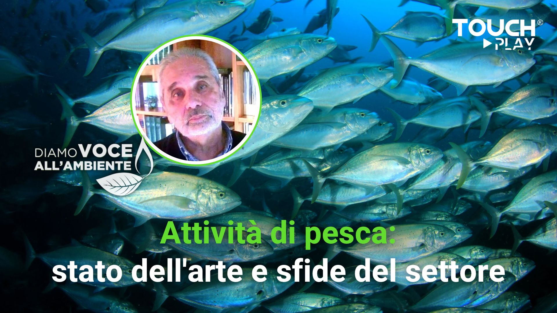 Attività di pesca: stato dell’arte e sfide del settore